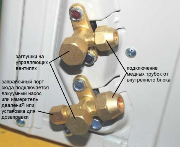 What are the ports and what they look like