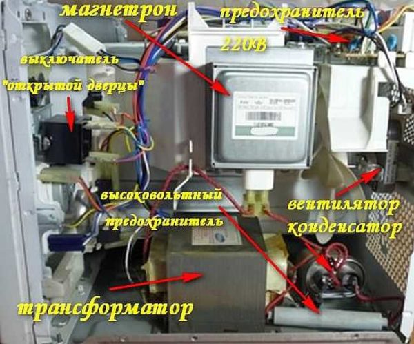 Approximate arrangement of parts in a microwave oven