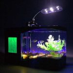 Use clothespin lamps that can be fixed to the sides of the aquarium