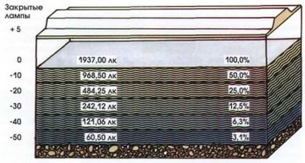 Every 10 cm depth eats up 50% of the light level