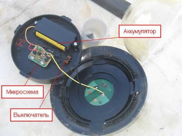 Solar powered lamp device