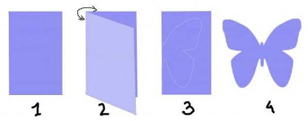 How to make a contour paper butterfly