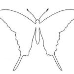 Swallowtail is attractive for its tail, but paper consumption is higher and the work requires more accuracy.