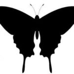 If you are good at scissors, you can try this outline.
