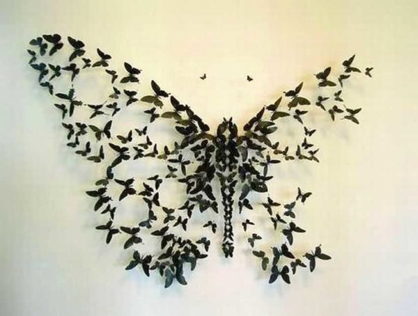 Big butterfly from small ,,,