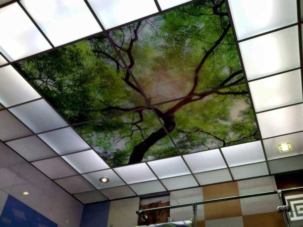 Large printed monolithic polycarbonate boards