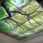 Photo printing on glass. And this too - Armstrong suspended ceilings