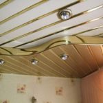 You can also make two-level ceilings from plastic panels.