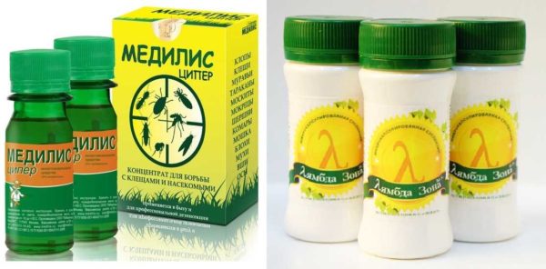 Some means of controlling insects in the house, apartment