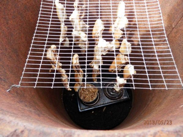 Drill holes in the upper part of the barrel, insert grate rods with suspended products into them