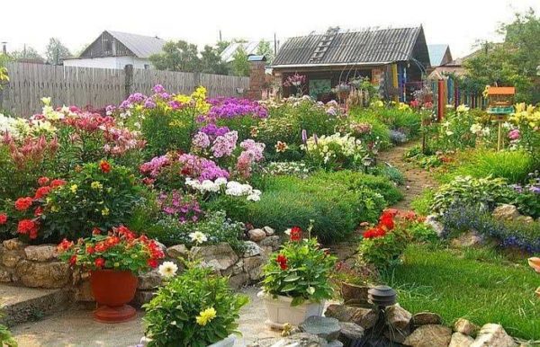 Summer is the time when the country is full of flowers