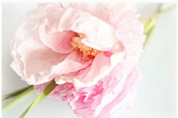 The process of making this flower in the photo above