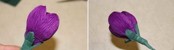 Step 5: finalizing the crocus