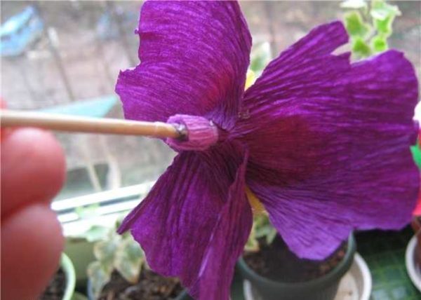 How to attach them to the stem