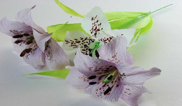 Lilies ... beautiful, but several techniques are applied