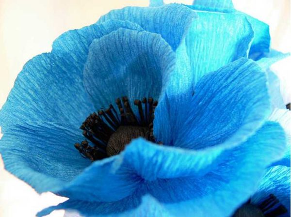 There is no limit to perfection: the core of the poppy can be made from thread