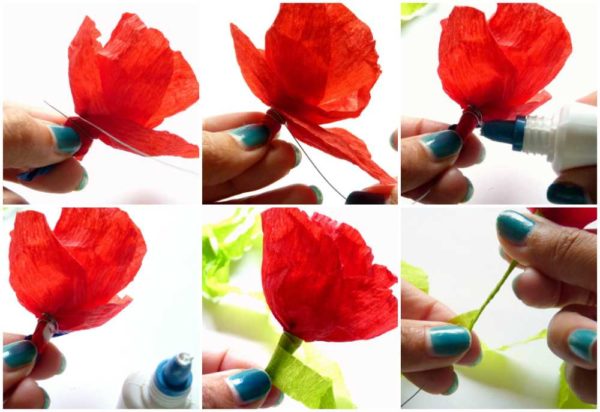 Shaping and shaping the stem