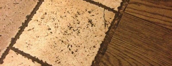 The grout is used in the same color as the tile joints.