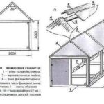 General arrangement of the greenhouse with a house