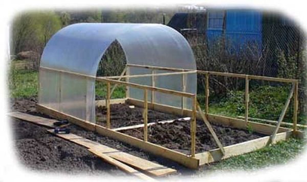 Such a polycarbonate greenhouse with your own hands is the easiest to do. But this is a seasonal option