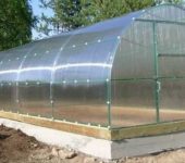 For normal operation, it is better to put a polycarbonate greenhouse on a foundation