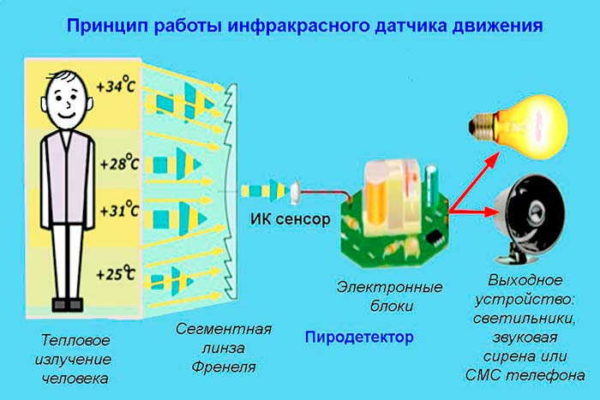 Infrared motion sensors work by tracking human heat