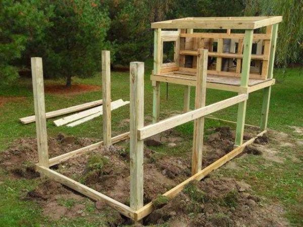 What is not an option for a mini-chicken coop for 5-6 chickens