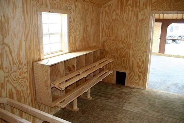 Boards, OSB, lining, plywood - these are the most popular materials for building a chicken coop