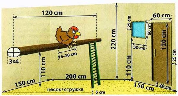 There are some general guidelines to follow when creating a chicken coop project.