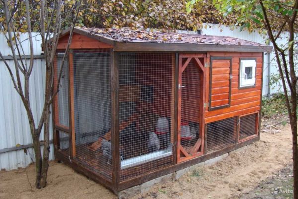 Lay thermal insulation between two layers of cladding - here's a winter chicken coop for you