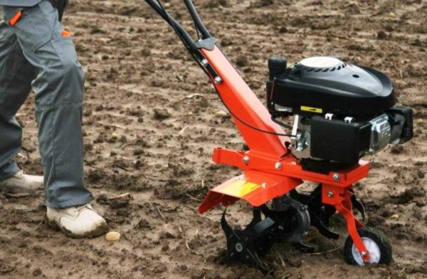 Motorized cultivators - it is difficult to choose the best
