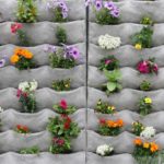 Such is the option for planting border flowers