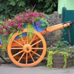 Using an old planting cart is not too new, but it always looks fresh