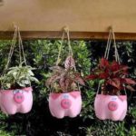 You can make such cute pots.