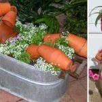 Flower pots make great garden decorations