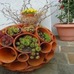 From the same pots, you can collect an unusual round or oval flower bed