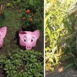 Pigs and hares - an eternal theme for the garden