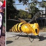Another variant of penguins and wasps ...