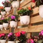 You can cut neat flower pots from two-liter bottles