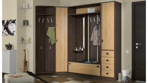 Corner hallway makes optimal use of even a small space at the door