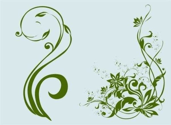 The diversity of nature inspires artists