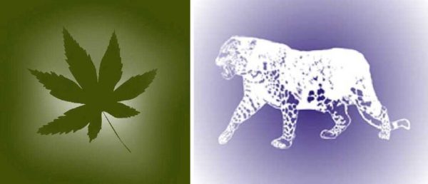 Here's what happens when using anti-stencil