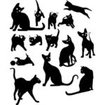 Stencils for walls for painting: cats are a win-win