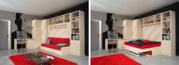 One of the options for equipping the living room-bedroom in one room