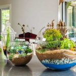 As a soil, you can use pebbles of different sizes, shells, sand and the soil itself