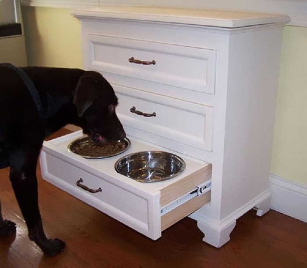 Where to put the dog bowls