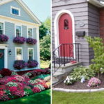 Flowers or plants of approximately the same height - if you need everything to look decent from all sides
