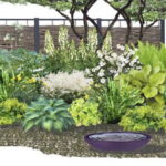 Plant placement plan for a front garden with a blank fence