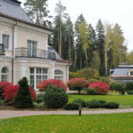 Dwarf trees - unusual and beautiful