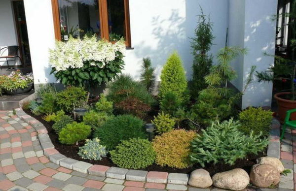 Plant selection rules: the highest are near the wall or fence, farther - lower